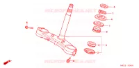 STURING STANG/BOVENSTE BRUG voor Honda CBR 600 RR 2006