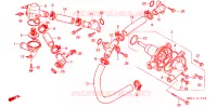 WATERPOMP voor Honda RC45 RVF 750 1994