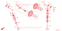 NOKKENAS/KLEP voor Honda CRF 250 RX 2024