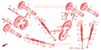 NOKKENAS/KLEP voor Honda VFR 800 1999