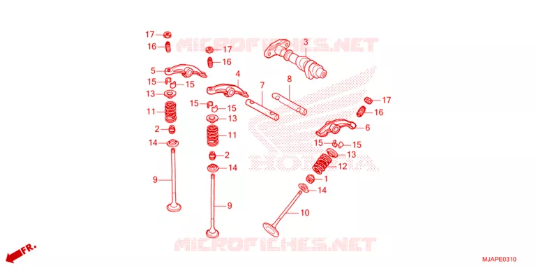 NOKKENAS/KLEP Honda MOTO 750 SHADOW 2024  VT750CR