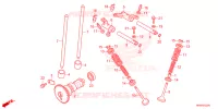 NOKKENAS/KLEP voor Honda FOURTRAX 520 FOREMAN RUBICON 4X4 AT DCT EPS 2024