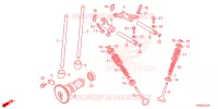 NOKKENAS/KLEP voor Honda FOURTRAX 520 FOREMAN RUBICON 4X4 AT DCT EPS 2024