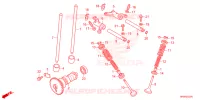 NOKKENAS/KLEP voor Honda FOURTRAX 520 FOREMAN RUBICON 4X4 AT DCT 2024