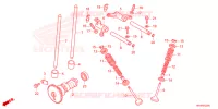 NOKKENAS/KLEP voor Honda FOURTRAX 520 FOREMAN 4X4 BASE 4CM 2024