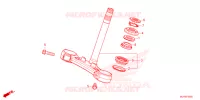 STURING STANG/BOVENSTE BRUG voor Honda CB 500 HORNET 2024