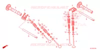 NOKKENAS/KLEP voor Honda CBR 500 R ABS 2024
