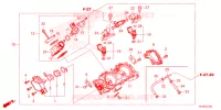 GASKLEP HUIS voor Honda PIONEER 1000-6 DELUXE CREW 2024