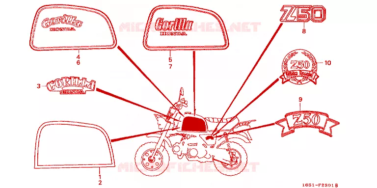 EMBLEEM/STREEP Honda MOTO 50 MONKEY 1988  Z50JJ_VII_M