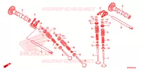 NOKKENAS/KLEP voor Honda CB 500 X ABS 2020