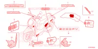 EMBLEEM/STREEP voor Honda SCOOPY 110 CLUB 12 2022