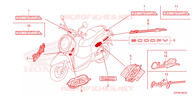 EMBLEEM/STREEP Honda SCOOTER 110 SCOOPY 2024  ACF110CBTR_TH