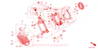 RADIATOR voor Honda PCX 160 2024