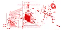 RADIATOR voor Honda CLICK 125 2024