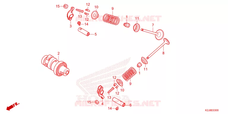 NOKKENAS/KLEP Honda MOTO 110 WAVE 2021  AFS110MCFM