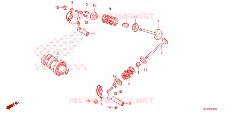 NOKKENAS/KLEP Honda MOTO 110 WAVE 2021  AFS110MSFM