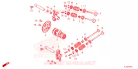 NOKKENAS/KLEP voor Honda PCX 160 2023