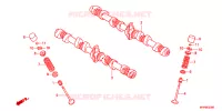 NOKKENAS/KLEP voor Honda CB 1300 SUPER BOL DOR 2012