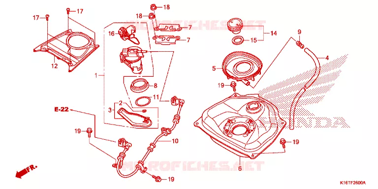 BENZINE TANK Honda SCOOTER 110 SCOOPY 2012  ACF110SFC_AB