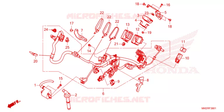 --- WIRE HARNESS (CRF450RS/RWES/RXS) Honda MOTO 450 CRF 2025  CRF450RXS