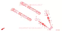 NOKKENAS/KLEP voor Honda CB 650 R 2023