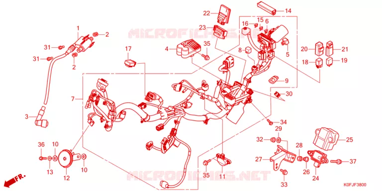 BEDRADINGSBUNDEL Honda MOTO 125 MONKEY 2025  Z125MAS