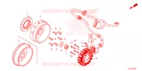 ALTERNATORE voor Honda FORZA 350 2024
