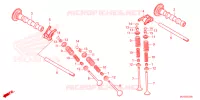 NOKKENAS/KLEP voor Honda REBEL 500 TOURING 2025