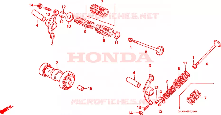 NOKKENAS/KLEP Honda MOTO 70 DAX 1994  ST70R