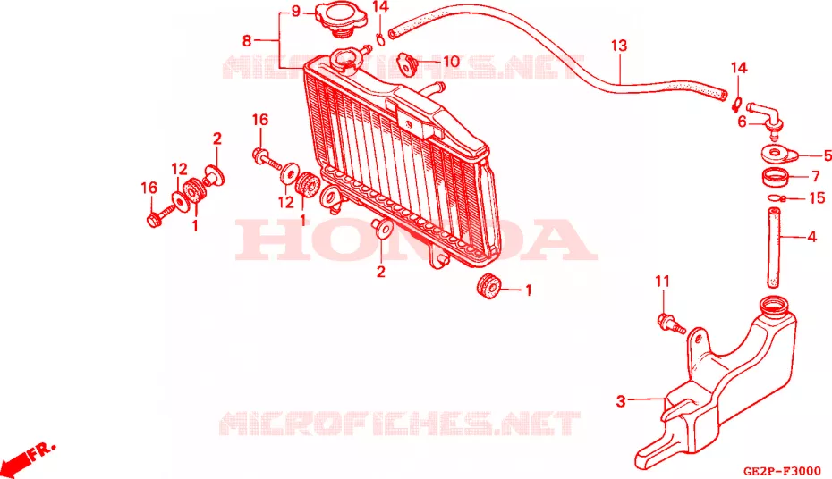 RADIATOR Honda MOTO 50 NSR 1993  NSR50FP