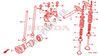 NOKKENAS voor Honda FOURTRAX 450 FOREMAN 4X4 Electric Shift 2001
