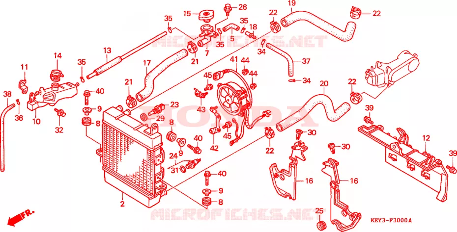 RADIATOR Honda SCOOTER 125 PANTHEON 1999  FES125W