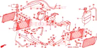 RADIATOR voor Honda VFR 800 INTERCEPTOR 1999