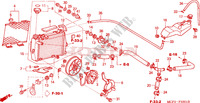 RADIATEUR(R.) (VTR1000SP2/3/4/5/6) voor Honda VTR 1000 SP2 100CV 2004