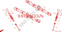 NOKKENAS/KLEP voor Honda CB 1300 BI COULEUR 2005