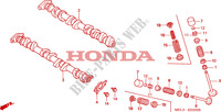 NOKKENAS/KLEP voor Honda CBR 1000 RR REPSOL 2005
