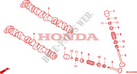 NOKKENAS/KLEP voor Honda CBF 1000 F ABS TS 2011