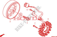 GENERATOR voor Honda CBF 600 NAKED 34HP 2010