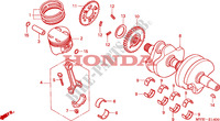 KRUKAS/ZUIGER voor Honda CB 500 S 34HP 2002