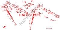 NOKKENAS/KLEP voor Honda CBR 1000 DUAL CBS 2000