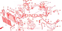 RADIATOR voor Honda NTV 650 1996