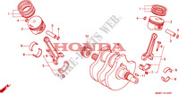 KRUKAS/ZUIGER voor Honda VLX SHADOW 600 2 TONE 1999