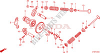 NOKKENAS/KLEP voor Honda LEAD 110 2012