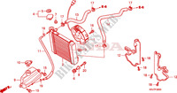 RADIATOR voor Honda S WING 125 FES ABS 2011
