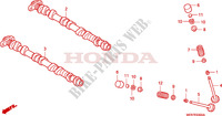 NOKKENAS/KLEP voor Honda CBF 600 NAKED ABS 2 TONES 25KW 2006