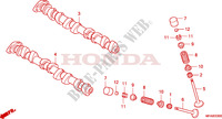 NOKKENAS/KLEP voor Honda CBF 1000 T ABS 2009