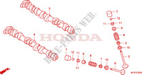 NOKKENAS/KLEP voor Honda CB 1000 R TRICOLOR 2011
