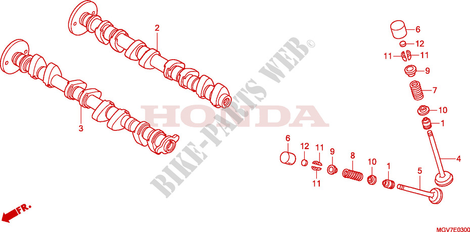 NOKKENAS/KLEP voor Honda CBR 600 F SPECIAL 2011