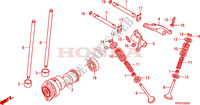 NOKKENAS voor Honda FOURTRAX 500 FOREMAN 4X4 Power Steering 2011