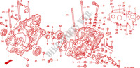 KRUKASCARTER voor Honda TRX 450 R SPORTRAX Electric Start 2009